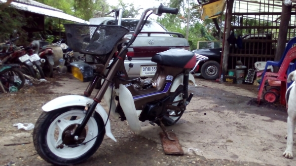 ขายชาลีเดิม หลุดจอง