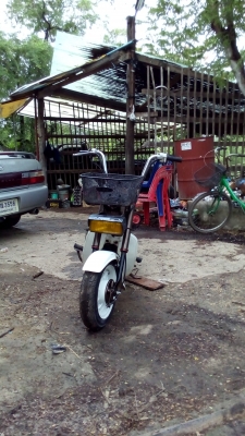 ขายชาลีเดิม หลุดจอง