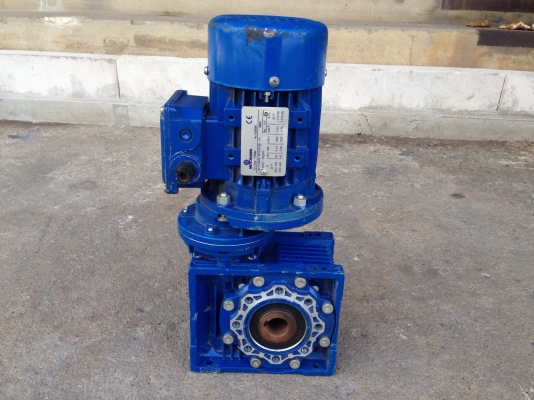 ขายมอเตอร์เกียร์ Motovario made in Italy 1/4HP. 380V อัตราทด 1:90 เพลาออกประมาณ 15รอบต่อนาทีโดยประมาณ ของใหม่เก่าเก็บ พร้อมใช้งานครับ