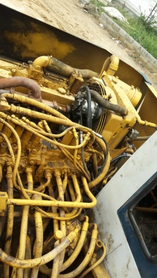 ขายโคมัสสุ120-3 ขายโคมัสสุ120-3