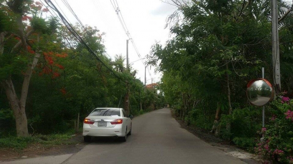 ขายที่ดินพระประแดง ซอยเพชรหึงษ์ 52 บางกอบัว เนื้อที่ 4 ไร่ 2 งาน 47 ตร.ว.