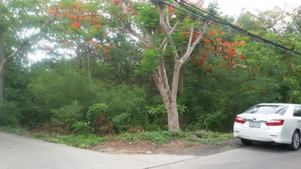 ขายที่ดินพระประแดง ซอยเพชรหึงษ์ 52 บางกอบัว เนื้อที่ 4 ไร่ 2 งาน 47 ตร.ว.