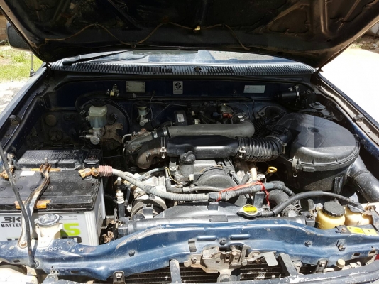 ไทเกอร์ D4D ตอนเดียวด่วนๆ