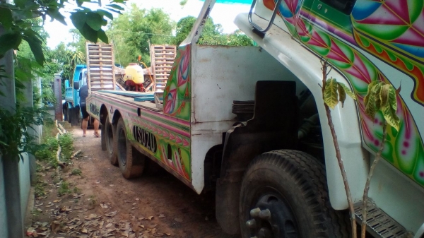 เทลเลอร็อกกี้175แรง