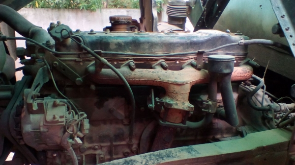 เทลเลอร็อกกี้175แรง