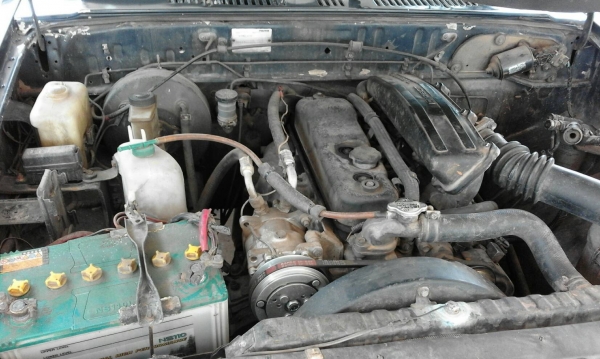 มังดรดำยอดประหยัด ราคา 68000 บาทด่วนๆ