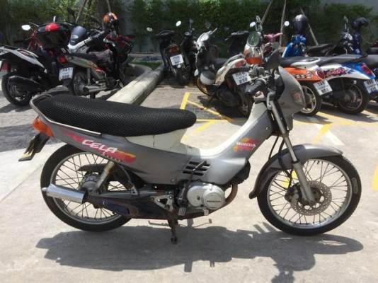 ขาย CELA ใช้งานปกติทะเบียนเต็ม ขาย CELA ใช้งานปกติทะเบียนเต็ม