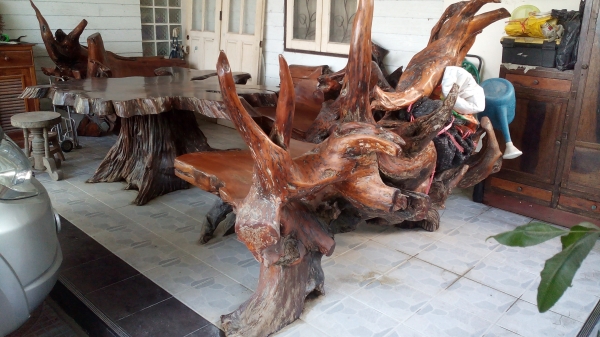 โต๊ะรากไม้ประดู่