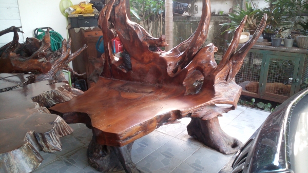 โต๊ะรากไม้ประดู่