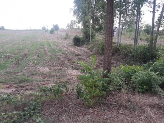 ที่ดินเปล่า อ.พนมสารคาม ที่ดินเปล่า อ.พนมสารคาม