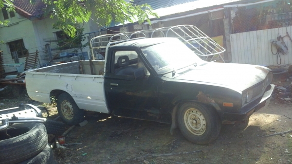 ขาย ช้างเหยียบ 13000 ขาย ช้างเหยียบ 13000