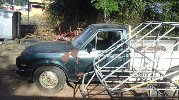 ขาย ช้างเหยียบ 13000