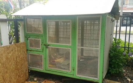 กรงสุนัข สำหรับหมาตัวใหญ่