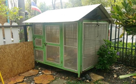 กรงสุนัข สำหรับหมาตัวใหญ่