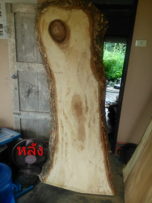 ขายด่วนครับ แผ่นไม้จามจุรี สำหรับทำหน้าโต๊ะ 2 แผ่น 5,000 บาทครับ ขายด่วนครับ แผ่นไม้จามจุรี สำหรับทำหน้าโต๊ะ 2 แผ่น 5,000 บาทครับ