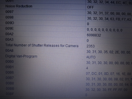 Nikon D3200  24 megapixel