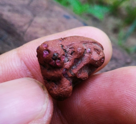 พระปิดตาเก่า เนื้อว่านผสมชานหมก ฝังพระธาตุเต็มองค์