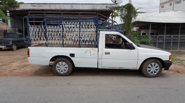 ขาย มังกรทอง ปี36 พร้อมลุยครับผม ขาย มังกรทอง ปี36 พร้อมลุยครับผม