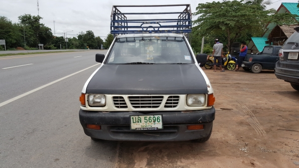 ขาย มังกรทอง ปี36 พร้อมลุยครับผม ขาย มังกรทอง ปี36 พร้อมลุยครับผม