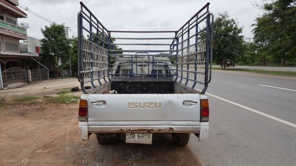 ขาย มังกรทอง ปี36 พร้อมลุยครับผม ขาย มังกรทอง ปี36 พร้อมลุยครับผม