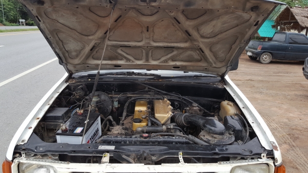 ขาย มังกรทอง ปี36 พร้อมลุยครับผม ขาย มังกรทอง ปี36 พร้อมลุยครับผม