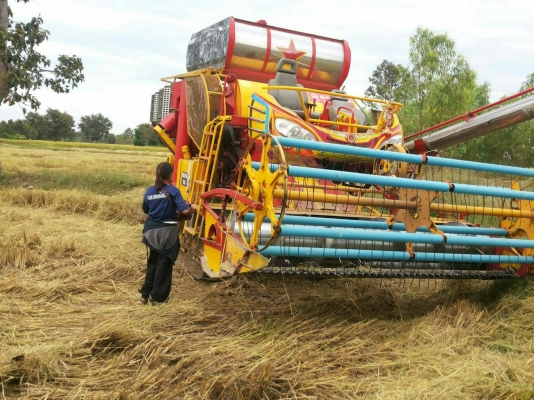 รถเกี่ยวข้าวรุ่นปลดหนี้ เกษตรพัฒนา เครื่องยนต์ 210 แรงม้าเทอร์โบ ตัวเดิน10 ปั้ม 23 ญีปุ่น ตู้นวด 22 ลูกนวด รถเกี่ยวข้าวรุ่นปลดหนี้ เกษตรพัฒนา เครื่องยนต์ 210 แรงม้าเทอร์โบ ตัวเดิน10 ปั้ม 23 ญีปุ่น ตู้นวด 22 ลูกนวด