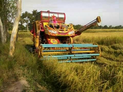 รถเกี่ยวข้าวรุ่นปลดหนี้ เกษตรพัฒนา    เครื่องยนต์ 210 แรงม้าเทอร์โบ    ตัวเดิน10    ปั้ม 23 ญีปุ่น   ตู้นวด 22 ลูกนวด