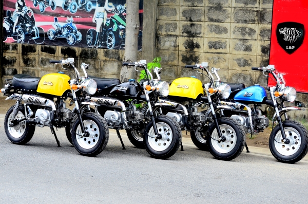 รถ/อะไหล่ !!!! ชาลี  มังกี้ กอลิล่า แต่ง  มีมากกว่า 100++ แบบ โครง cnc รวมของแต่งท่อ เบาะ เพียบ ราคาเริ่มต้น.........