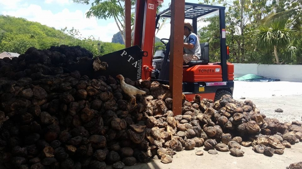 มองหารถโฟล์คลิฟท์งาเท  นึกถึง  พีทีเอ  ชลบุรี081-8342060เราส่งฟรีมาแล้วทั่วประเทศดูได้จากในโพสท์นี้