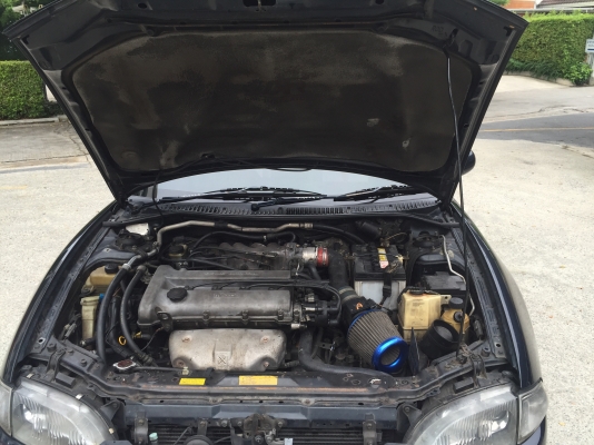 ขายมาสดาแลนติสราคามอรไซร์