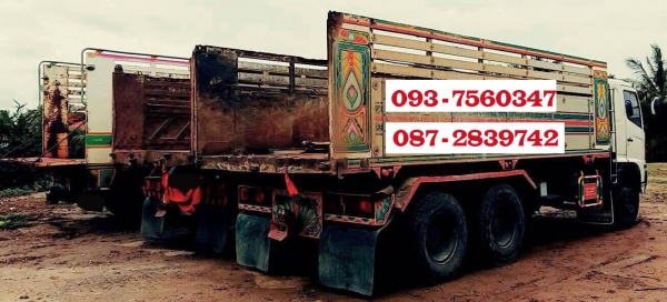 แยกขายมีให้เลือก 2 คัน รถดั้มพ์ 10 ล้อ 2 เพลา แยกขายมีให้เลือก 2 คัน รถดั้มพ์ 10 ล้อ 2 เพลา