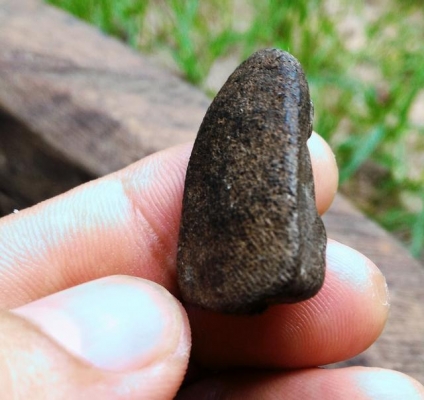 หลวงปู่ทวดพิมพ์พระรอด เนื้อสวย ดูง่ายครับ