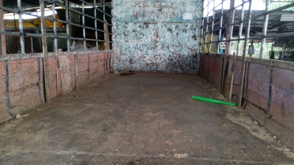 รถอีซูซุ 6 ล้อ รั้ว ( ไม่ดั้ม ) FRR 175 แรงม้า  ปี 40.     สนใจติดต่อ  081 - 6079515