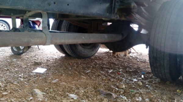 รถอีซูซุ 6 ล้อ รั้ว ( ไม่ดั้ม ) FRR 175 แรงม้า  ปี 40.     สนใจติดต่อ  081 - 6079515