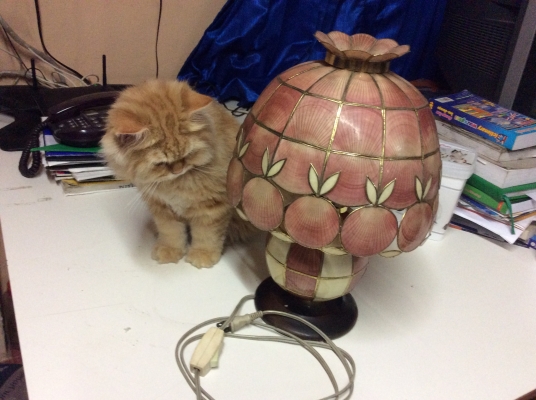 ขายโคมไฟทำด้วยหอยเชลล์แท้งานแฮนด์เมค ใช้งานได้ราคา 3,500 บาทขายโคมไฟทำด้วยหอยเชลล์แท้งานแฮนด์เมค ใช้งานได้ราคา 3,500 บาท