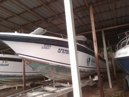 ขายเรือสปีดโบ๊ท