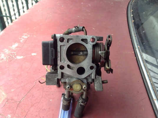 ขายลิ้นปีกผีเสื้อDaihutsu