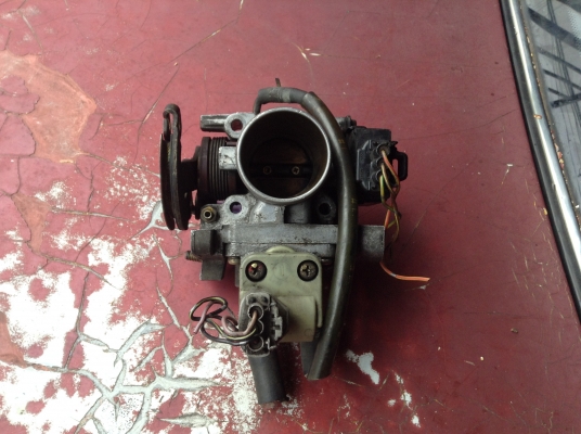 ขายลิ้นปีกผีเสื้อDaihutsu