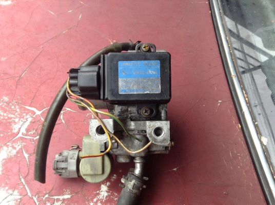 ขายลิ้นปีกผีเสื้อDaihutsu