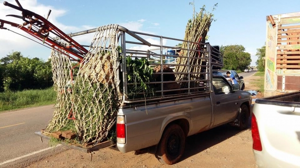 รถกระบะ บิคเอ็มฝาแดง ตอนเดียว  รถบ้านสภาพดี สีสวย ช่วงล่างดี เครื่องแน่น แอร์เย็น โทร0856390132หนึ่งรับสาย