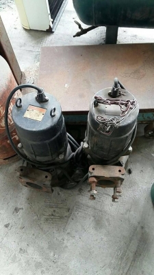 ปั๊มน้ำไดโว่ 1 แรง ไฟ 2 เฟส ตัวละ 10,000 / ปั๊มน้ำไดโว่ 2 แรง ไฟ 3 เฟส ตัวละ 15,000 ปั๊มน้ำไดโว่ 1 แรง ไฟ 2 เฟส ตัวละ 10,000 / ปั๊มน้ำไดโว่ 2 แรง ไฟ 3 เฟส ตัวละ 15,000