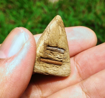 พระผงเก่า หลวงปู่ทิม ตะกรุดคู่ เนื้อสวยมีองค์เดียว