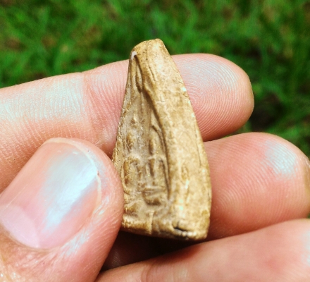 พระผงเก่า หลวงปู่ทิม ตะกรุดคู่ เนื้อสวยมีองค์เดียว