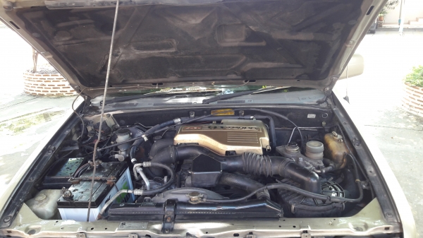 ขาย ISUZU ดรากอน