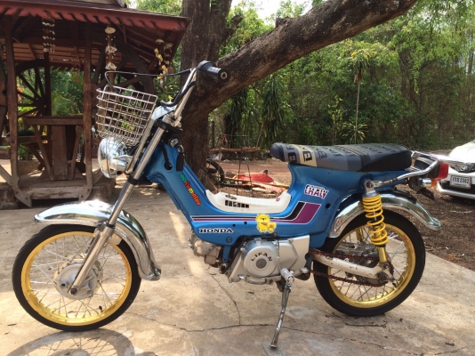 ชาลี สตาสมือ