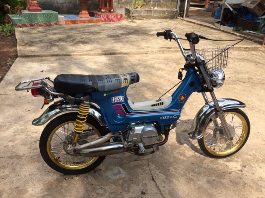 ชาลี สตาสมือ