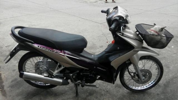 ขาย Honda wave 110 I ขาย Honda wave 110 I
