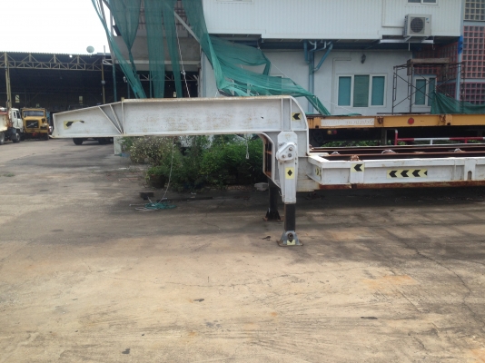 ขายหางก้างปลายาว สั้น หางพื้นยาว ขายหางก้างปลายาว สั้น หางพื้นยาว