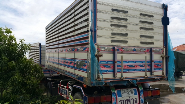 ขายรถพ่วง 20 ล้อ แม่-ลูก กระบะเนียมคอกเกษตรดั้ม อู่.พรชัย HINO 260 ปี.48 รถสวย ราคา ต่อรอง