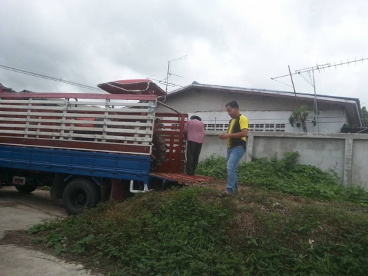 คูโบต้า L3408 DI 4 WD ใบมีดตราช้าง ขายตามสภาพ เครื่องดี เกียร์ เล่มทะเบียนพร้อม